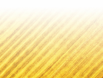 智能農(nóng)機(jī)、“訂單”服務(wù)、“云端”種菜——來(lái)自江西的春耕“新事”